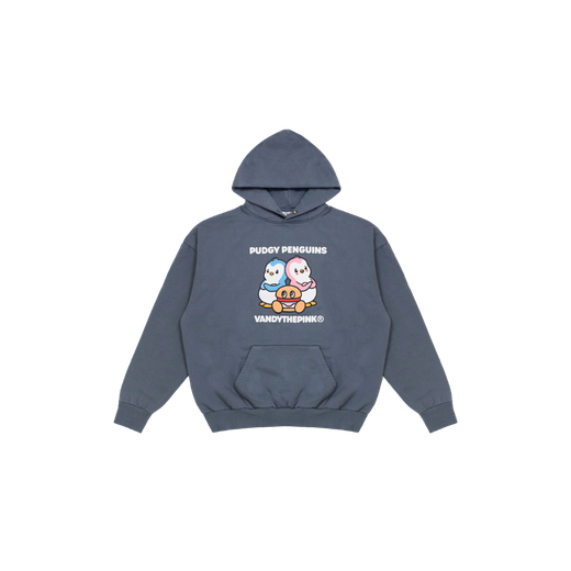 VANDYTHEPINK® x PUDGY PENGUINS Hoodie (L)