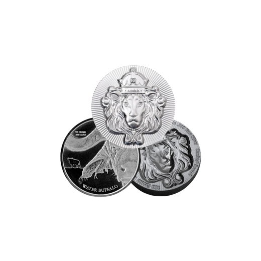 100 Gram Silver Round