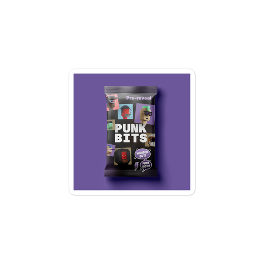 PUNK BITS